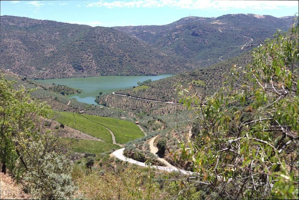 Anju-Pardal Villa Mogadouro  Luaran gambar
