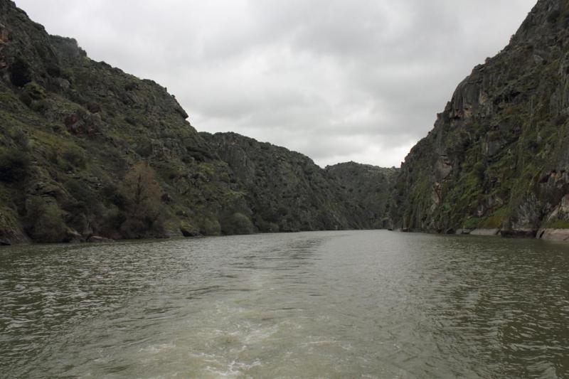 Anju-Pardal Villa Mogadouro  Luaran gambar